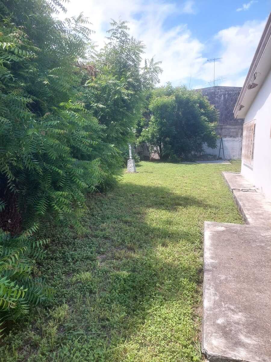 4 de 4: Jardín Posterior