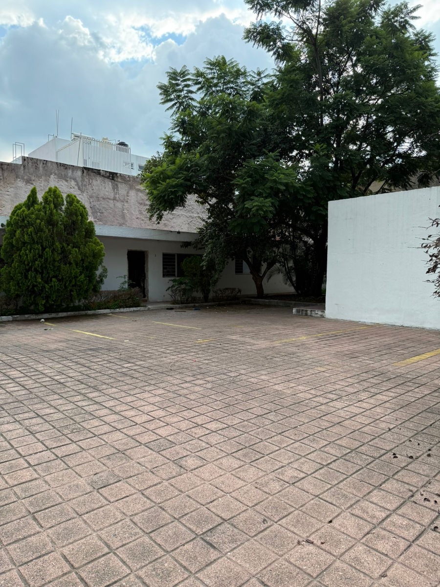 5 de 11