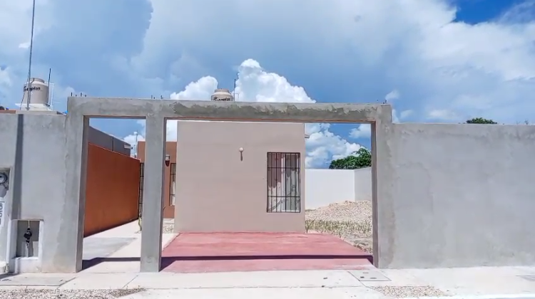 3 de 14