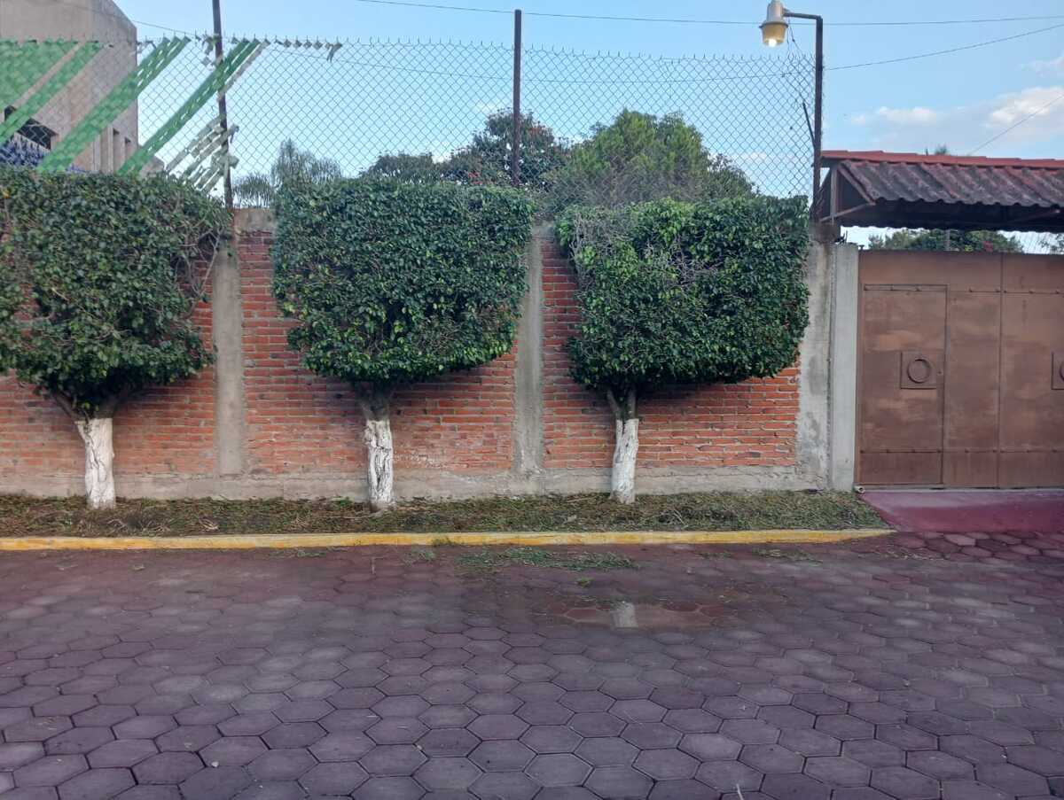 4 de 10