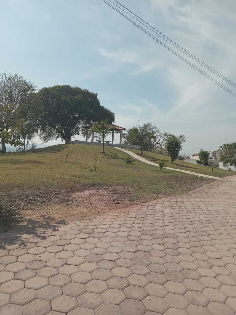 8 de 10