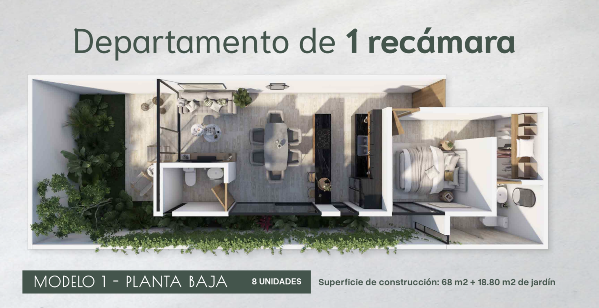 3 de 14