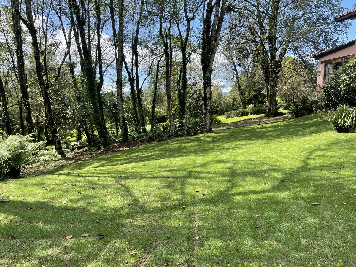 18 de 49