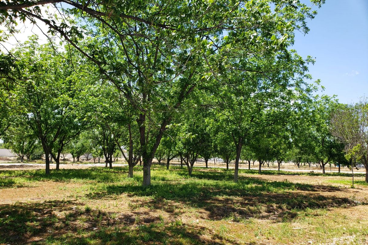 Terreno en VENTA en Residencial La Joya II
