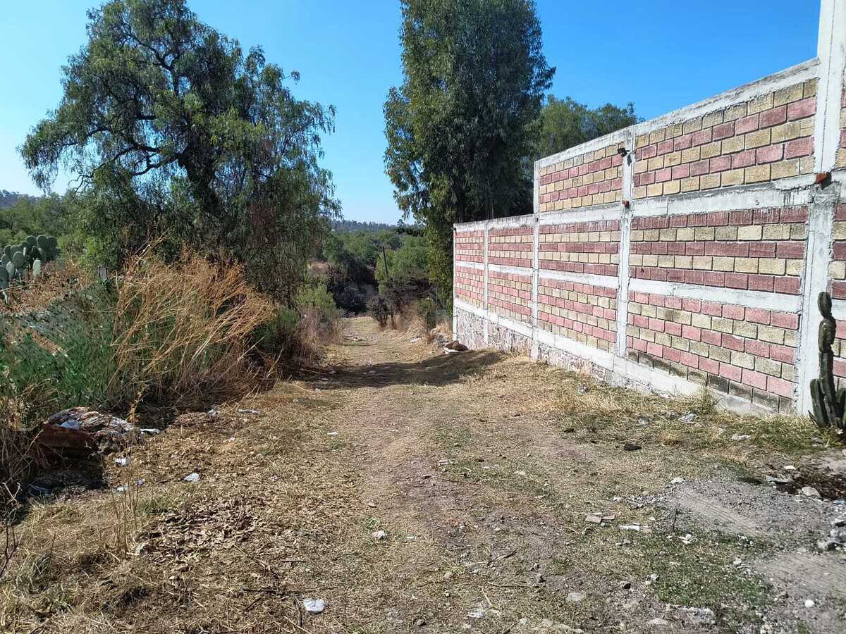 3 de 10