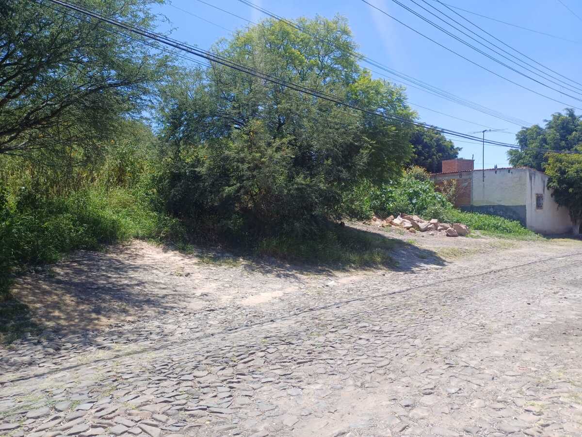 2 de 12