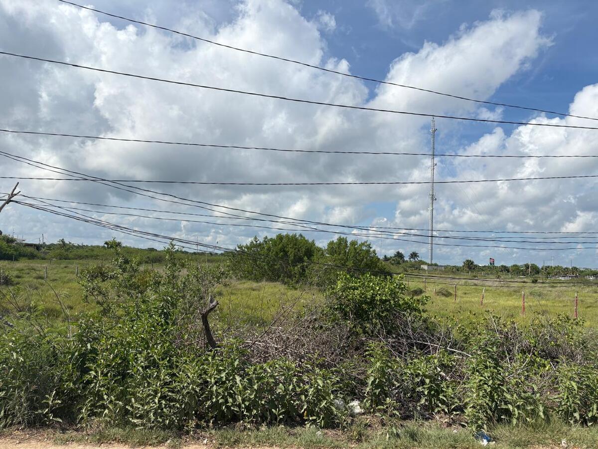 6 of 32: Evidencia de servicio CFE