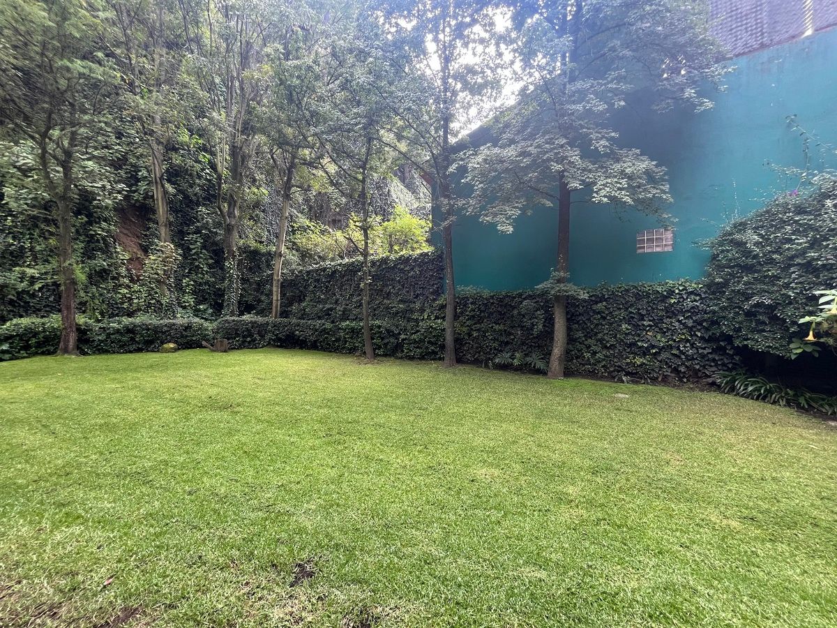 9 de 17: Jardín de 350 m