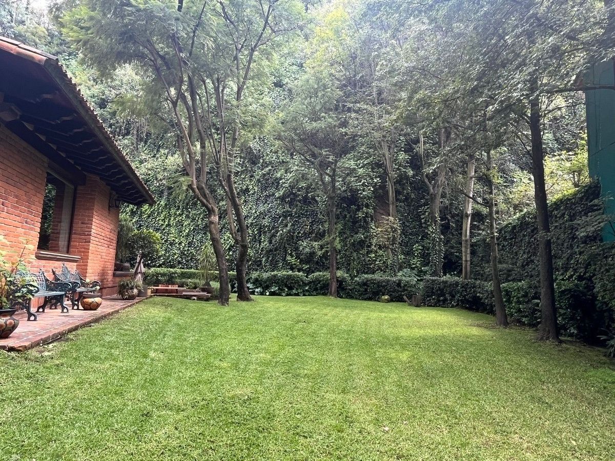 3 de 17: Jardín de 700 m