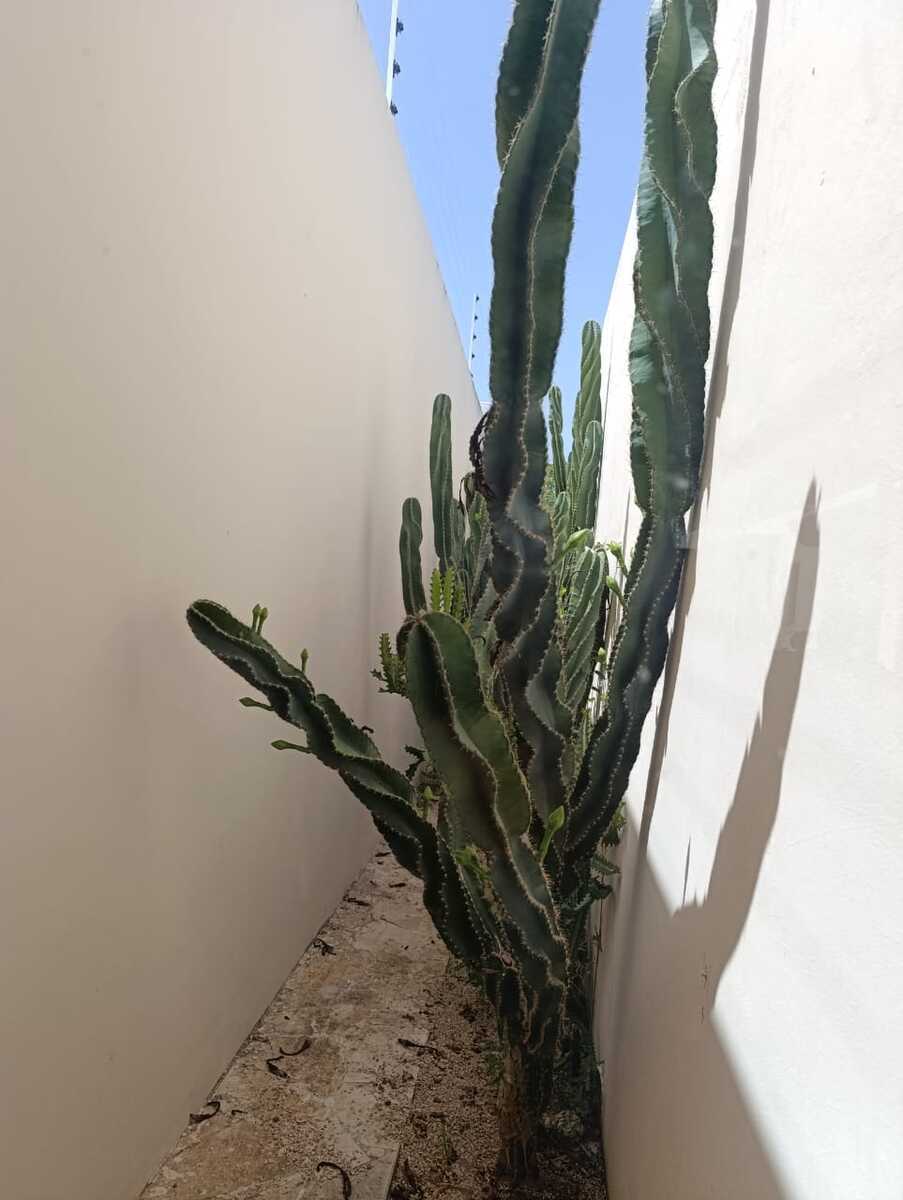 14 de 39