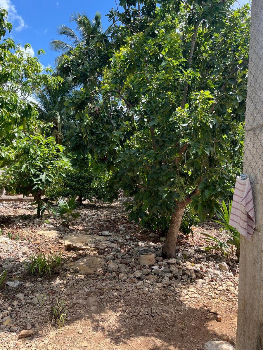 14 de 19