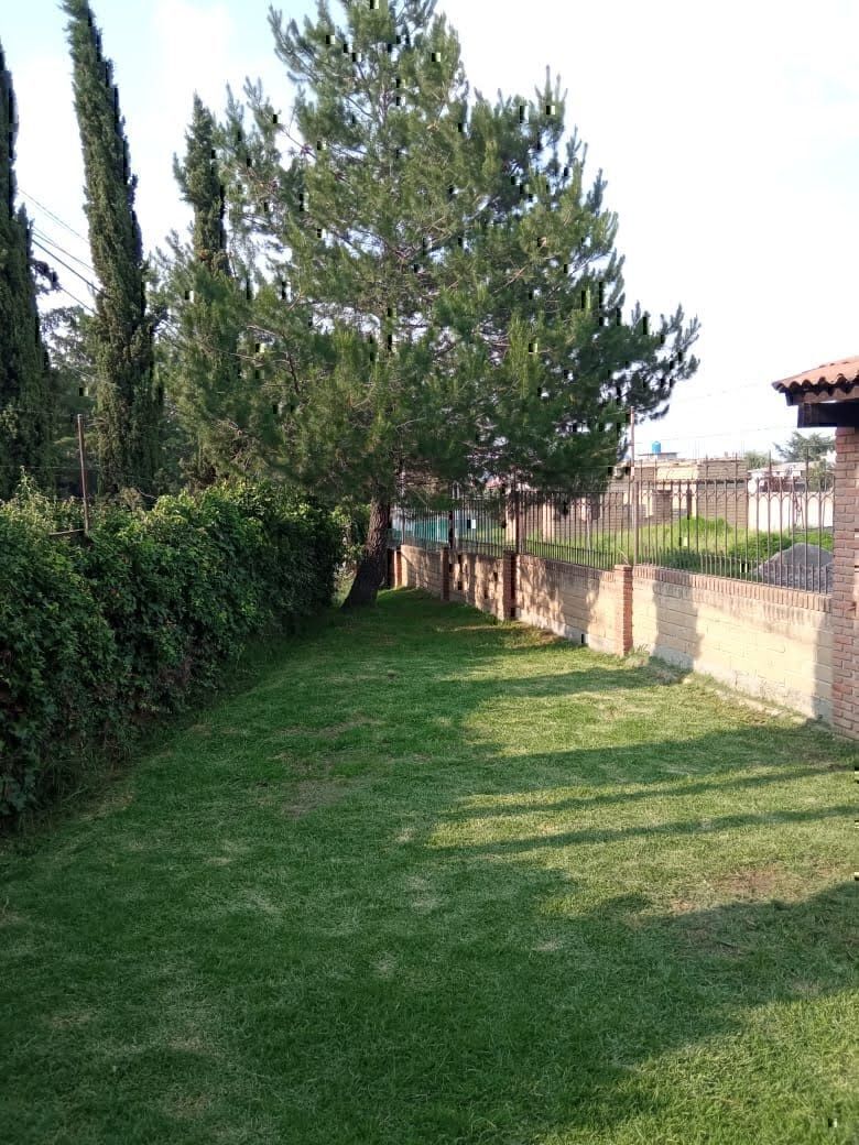 2 de 24