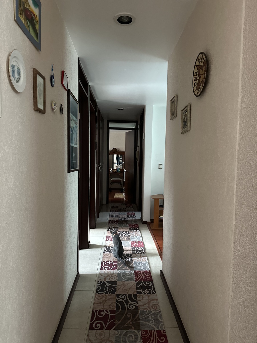 12 de 36