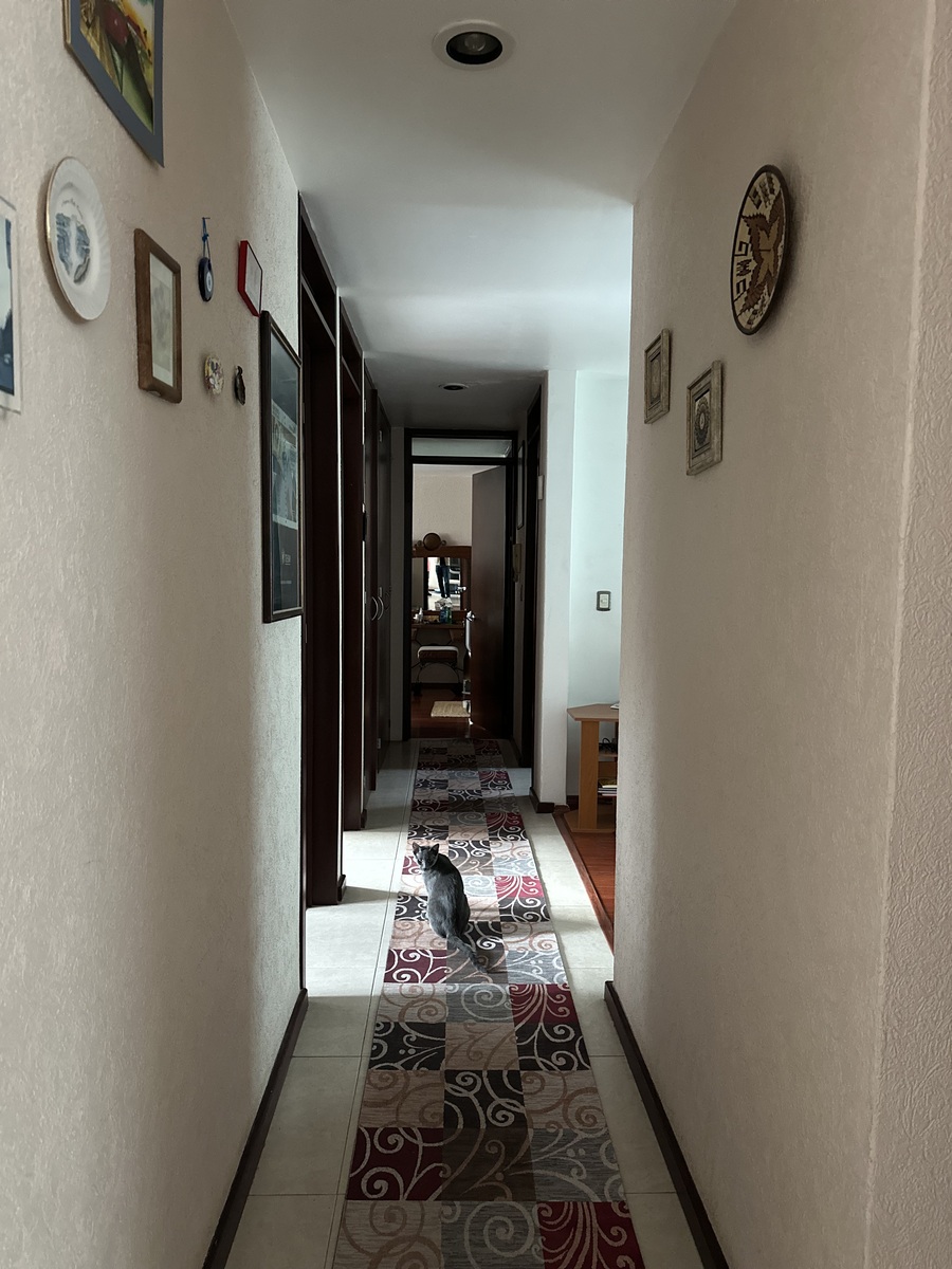 13 de 36