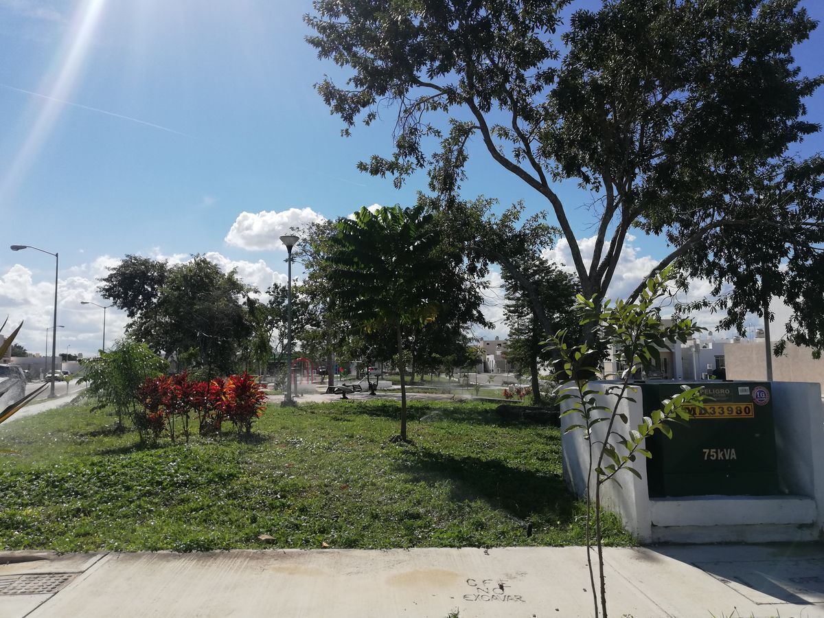 4 de 29