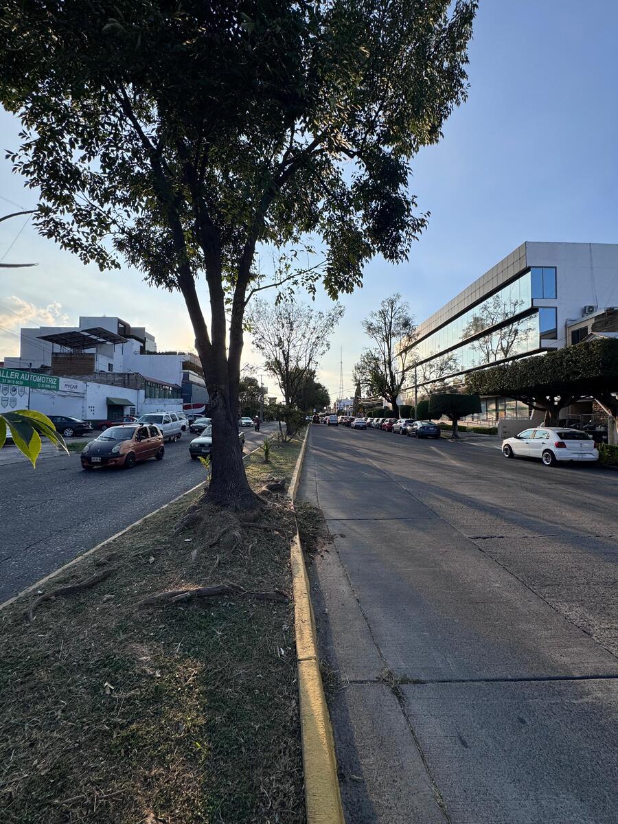 8 de 12