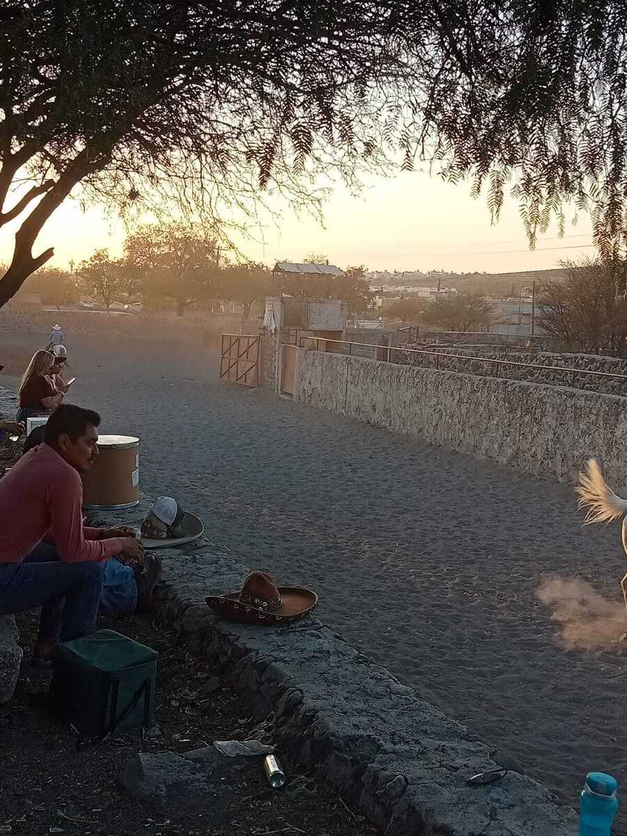 2 de 16
