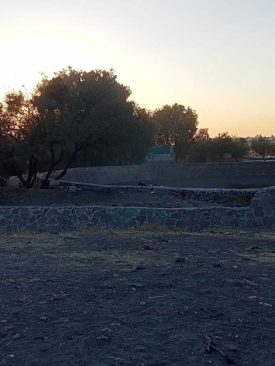 3 de 16