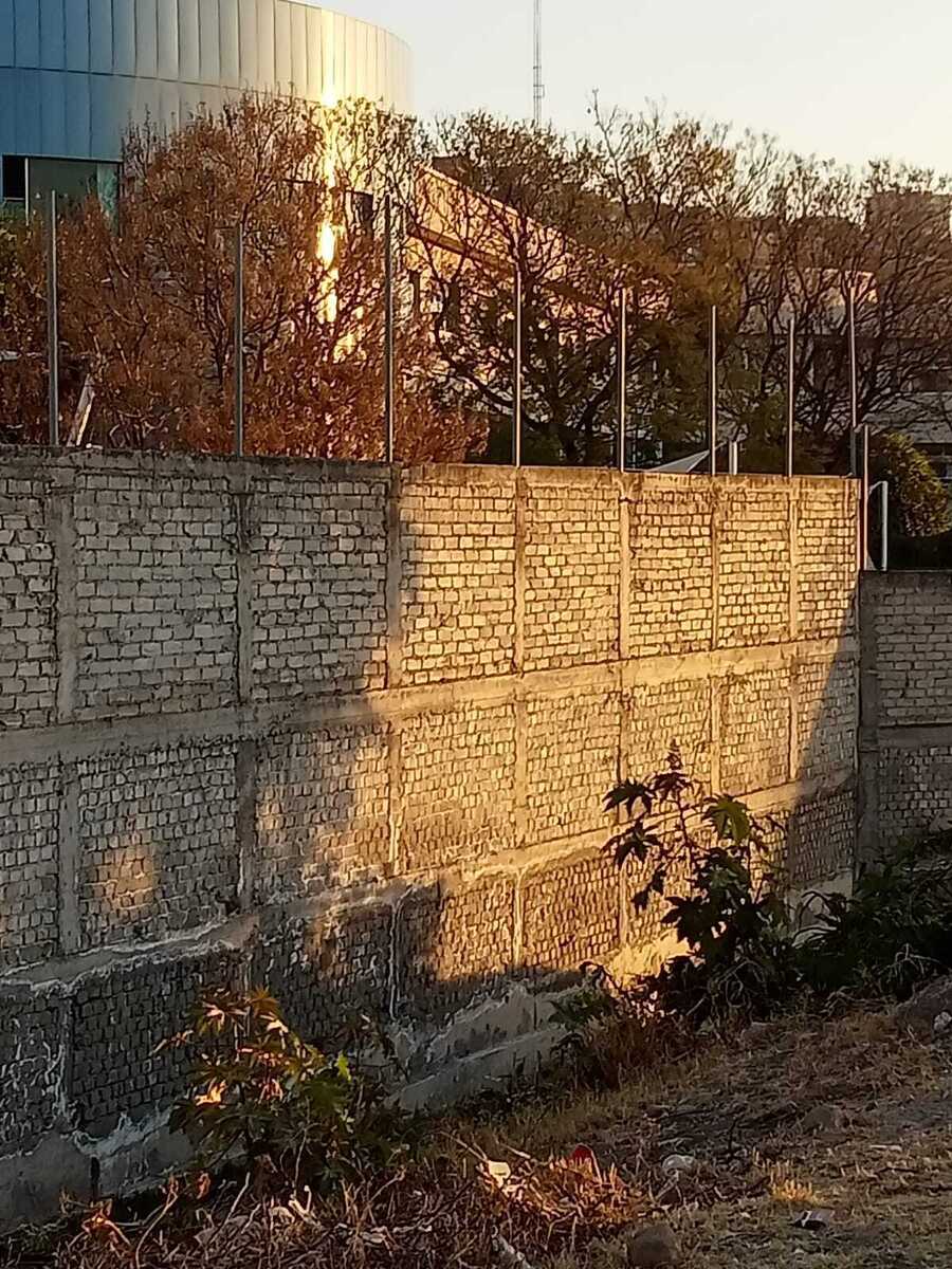 5 de 16