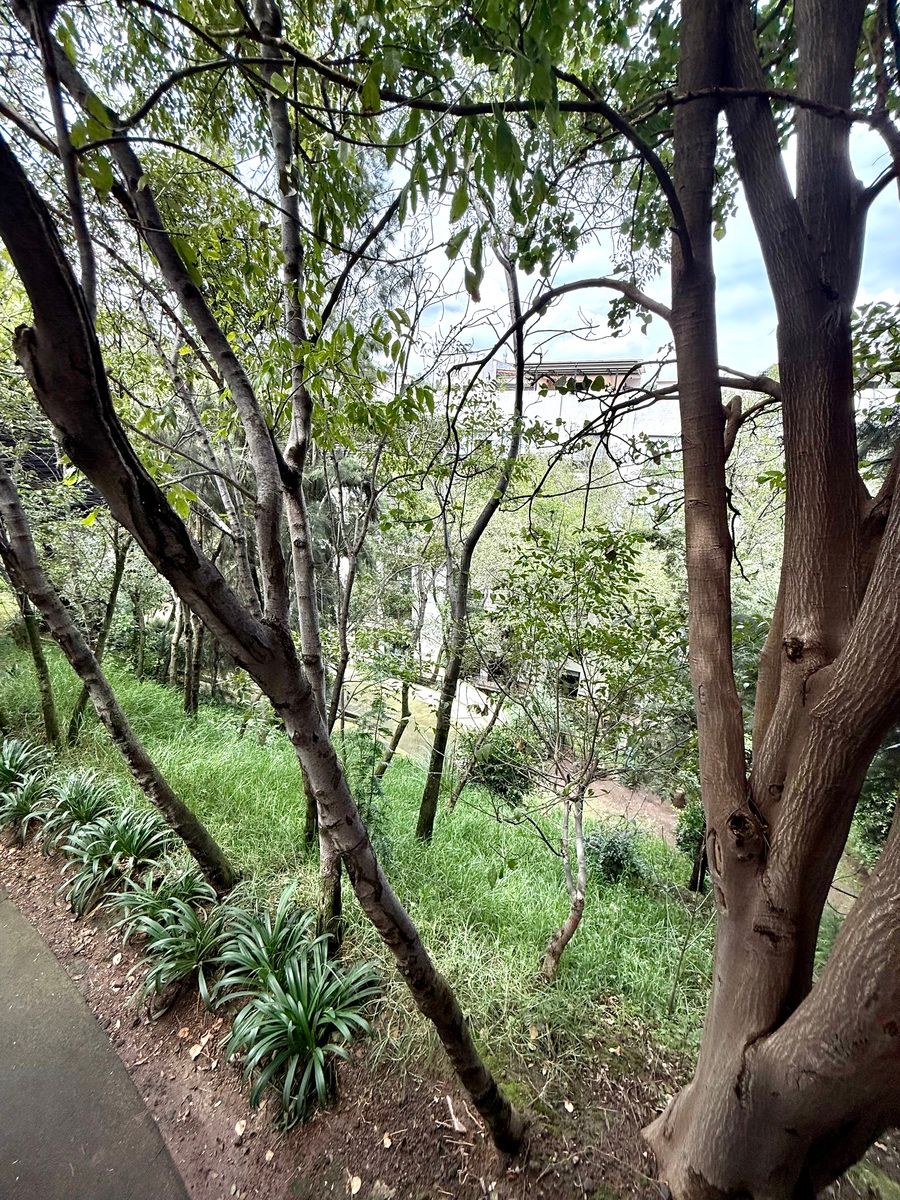 37 de 48: Áreas verdes