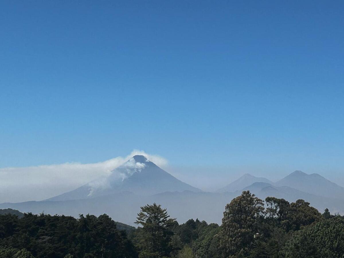 10 de 14