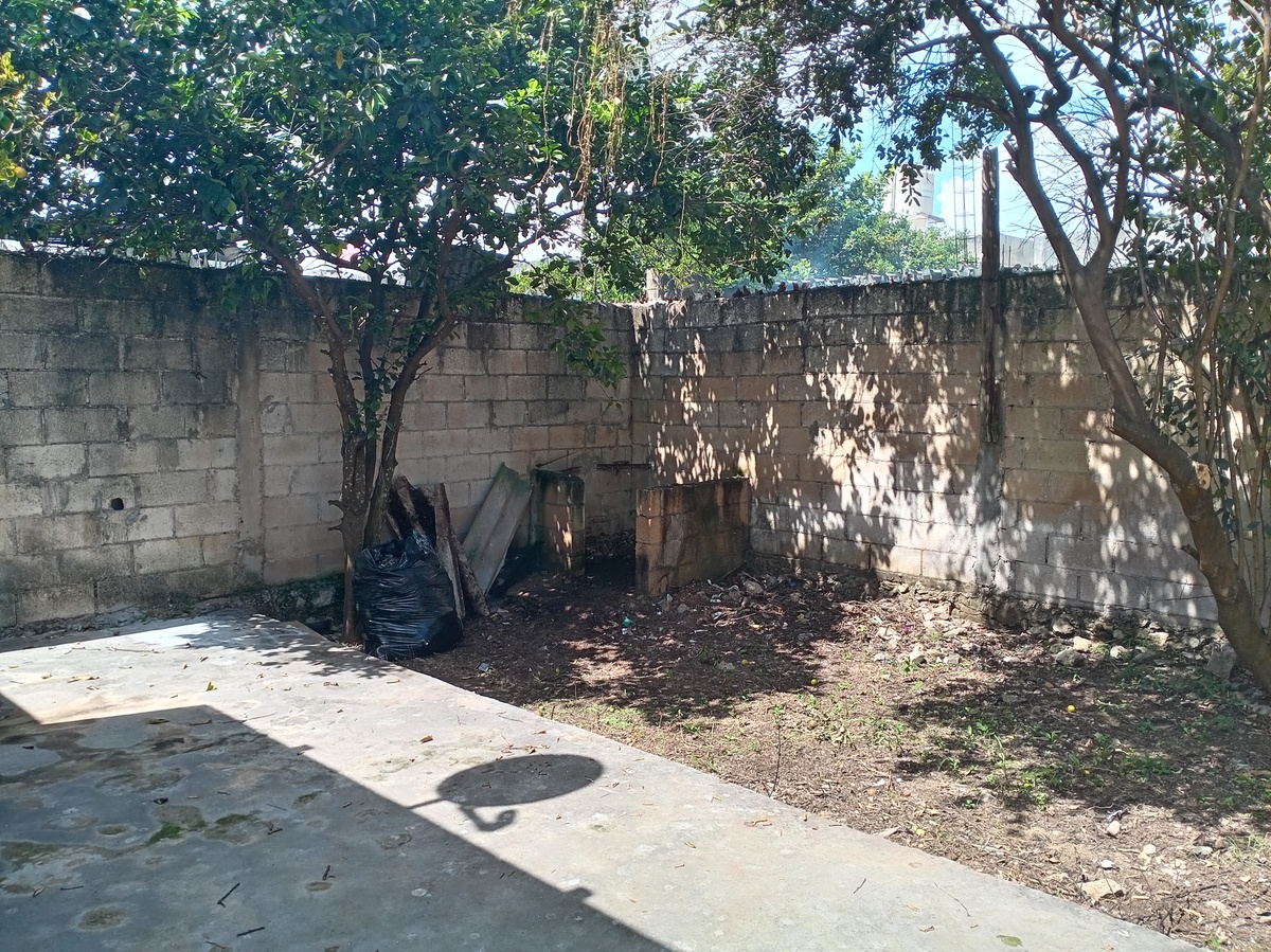 5 de 6