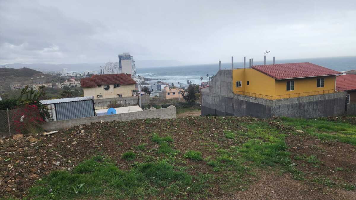 5 de 10