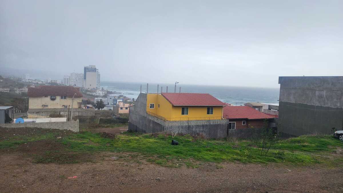 10 de 10