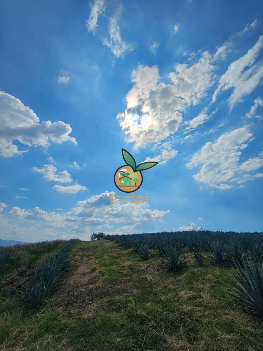 12 de 21