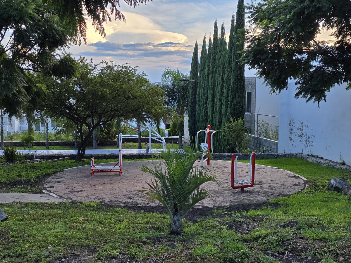 8 de 16