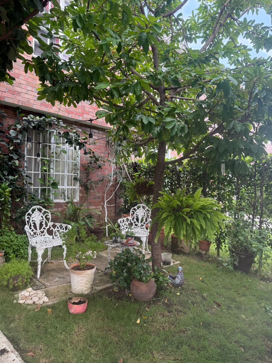2 de 12