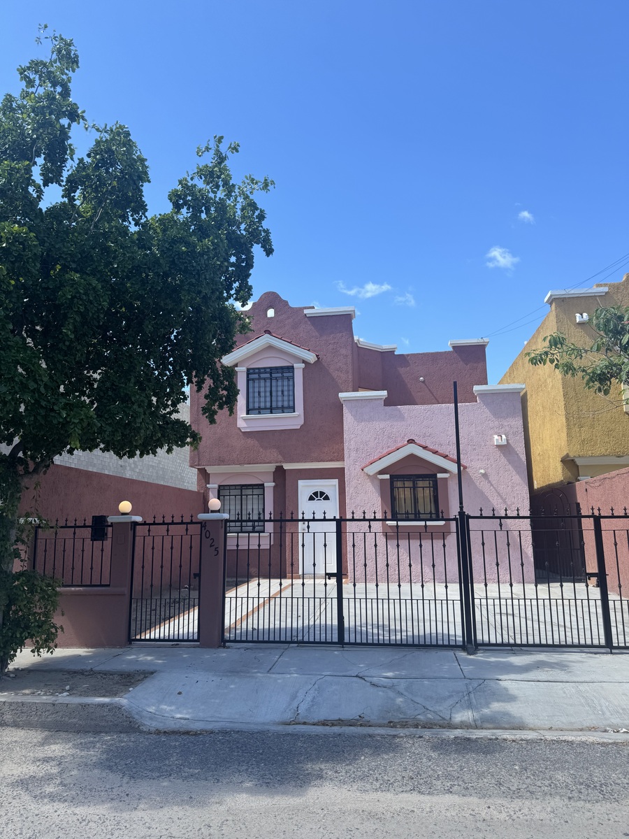 3 de 24