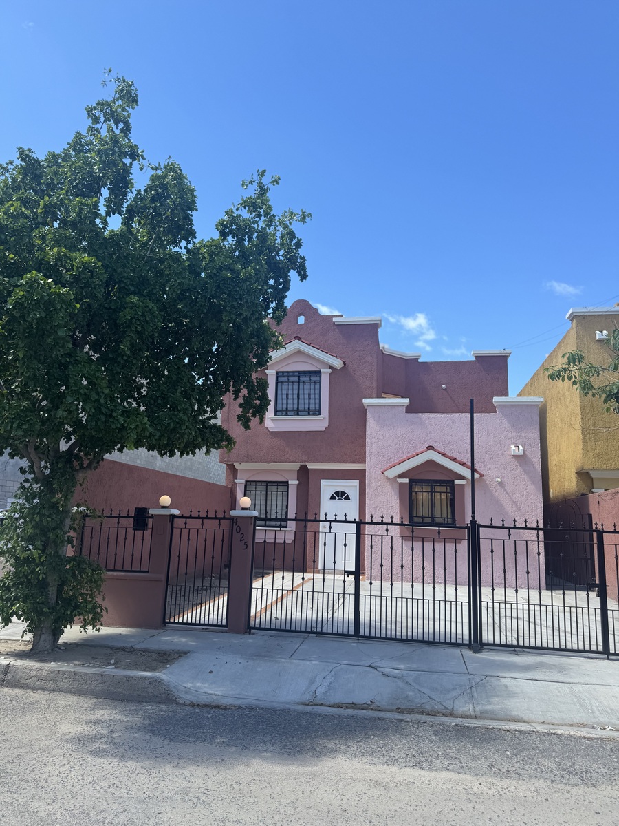 7 de 24