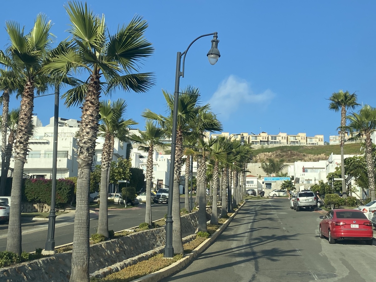 23 of 23: Avenida