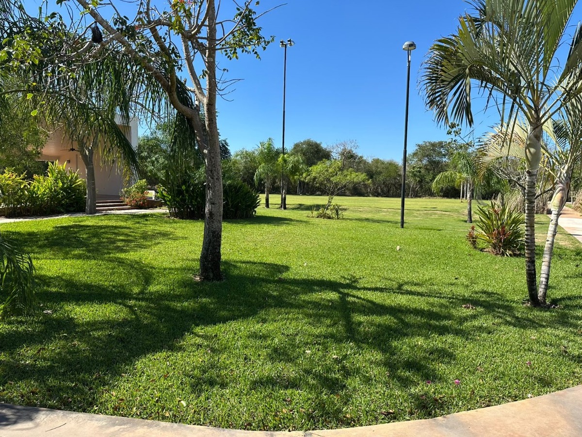 3 de 8