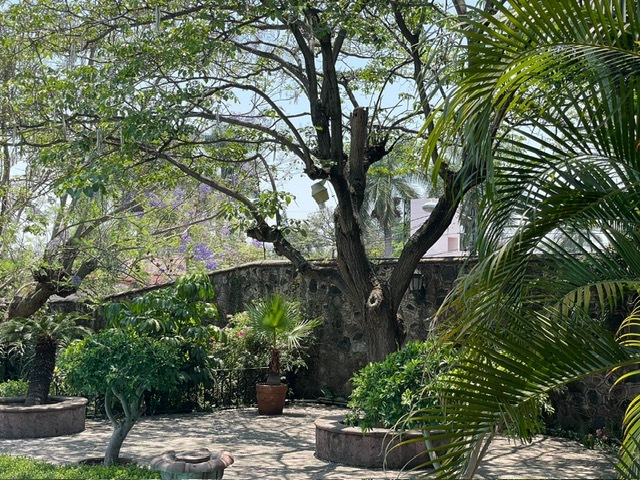 14 de 50