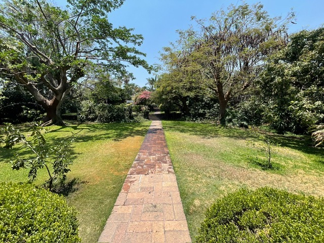 16 de 50