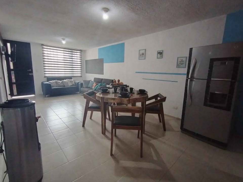 3 de 8