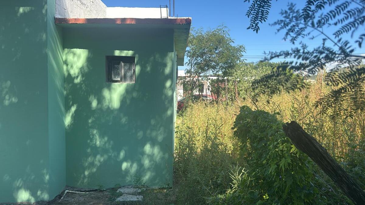 3 de 24