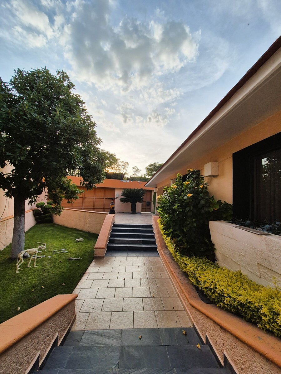 3 de 29: JARDÍN