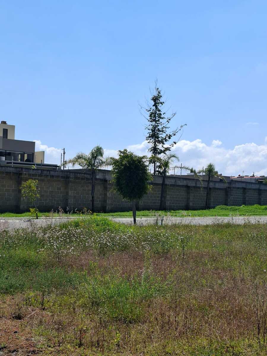 5 de 11