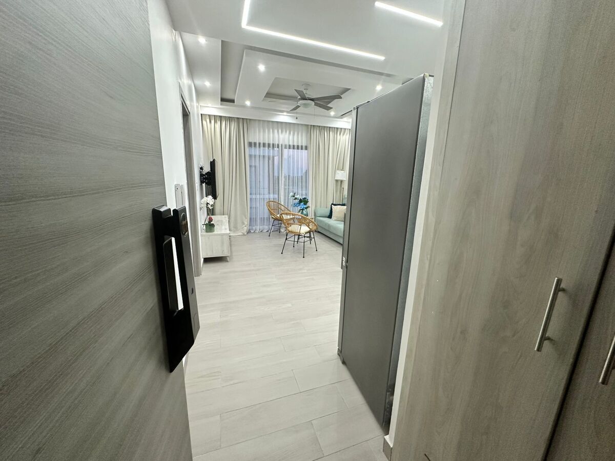Apartamento en Punta Cana, foto 14 de 18