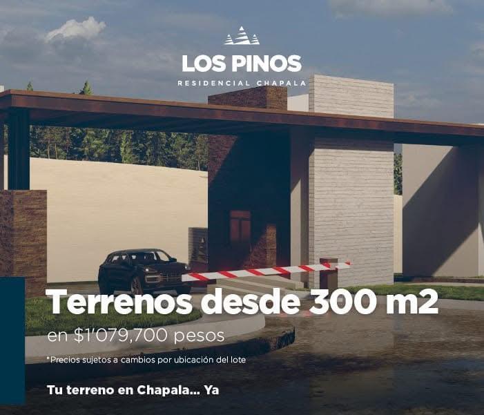 2 de 7