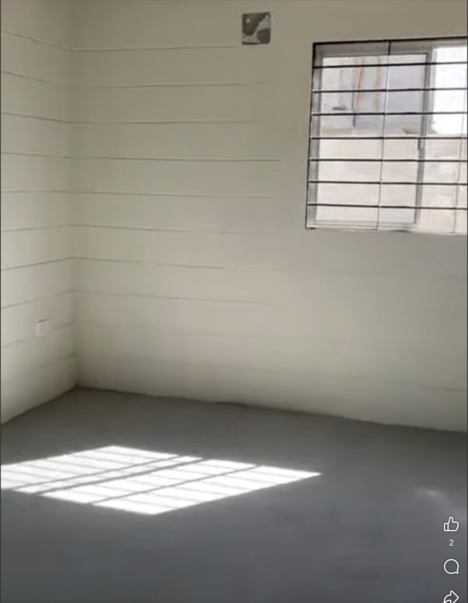 5 de 11