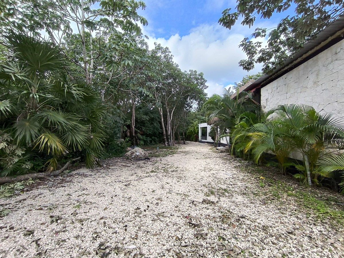Local em Tumben Kaa, Tulum, foto 21 de 30