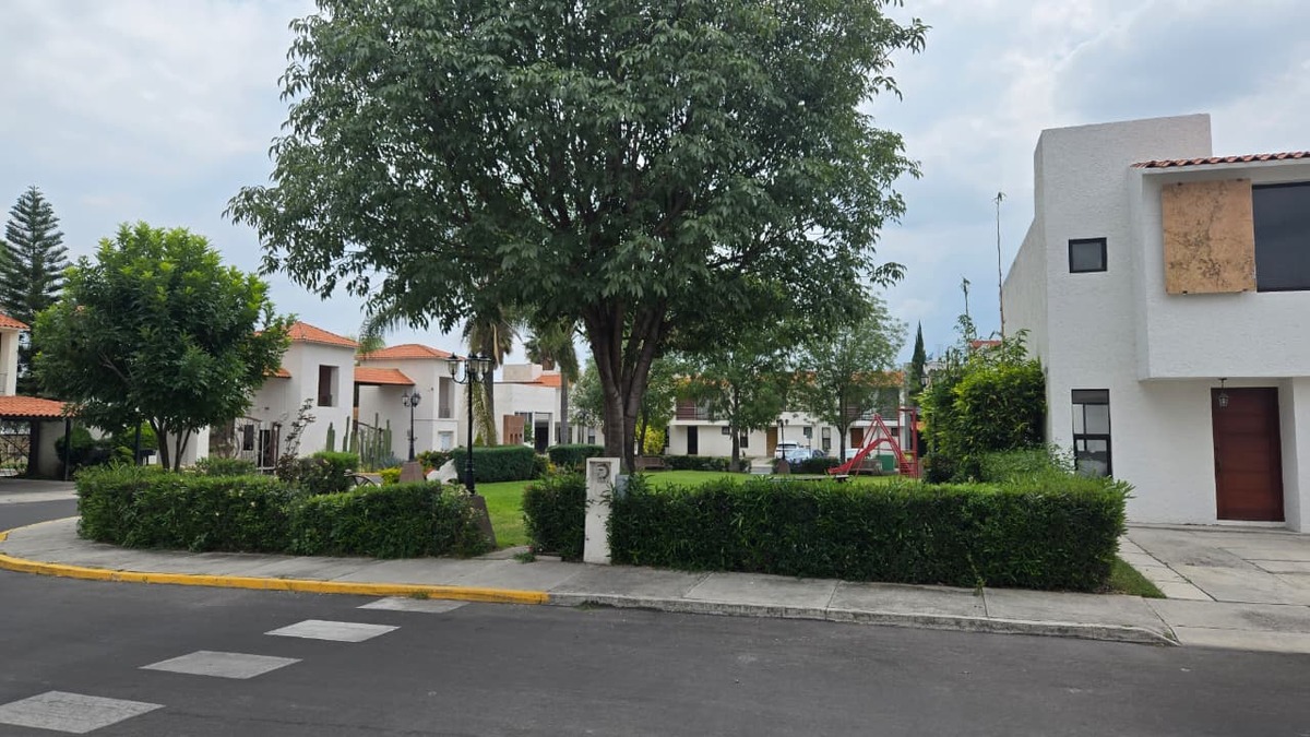 3 de 12