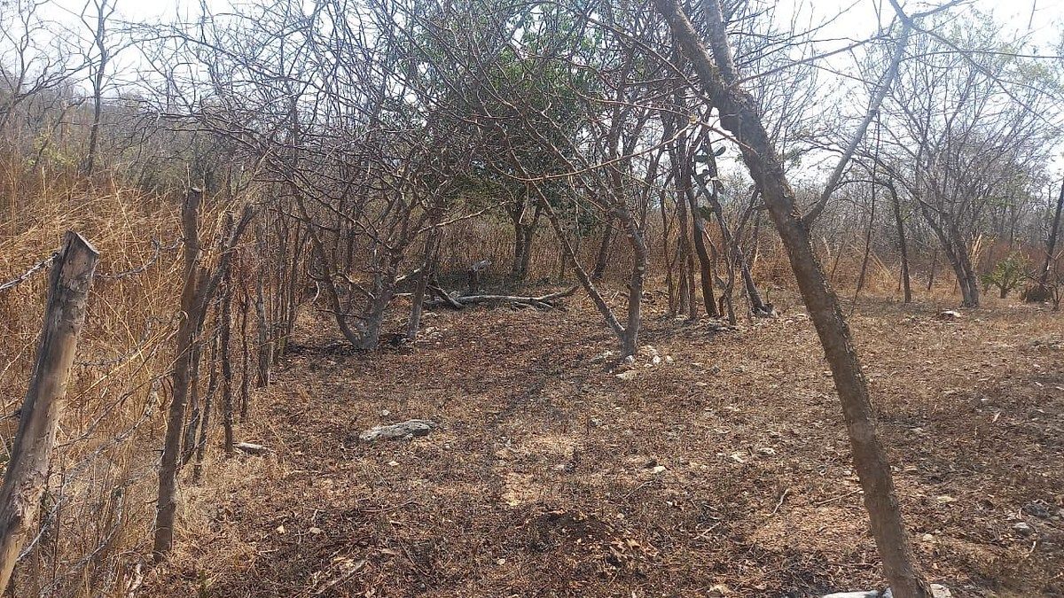 20 de 20