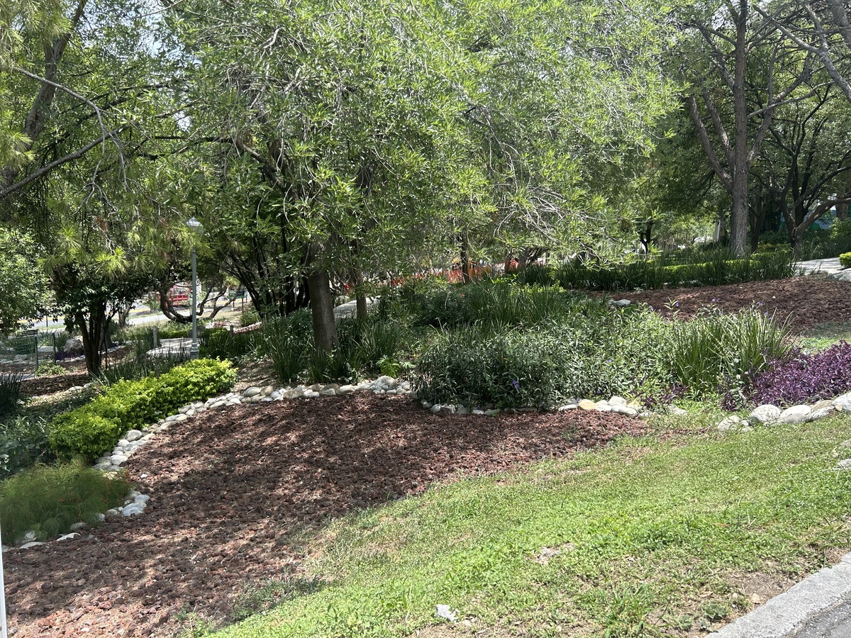 1 de 3