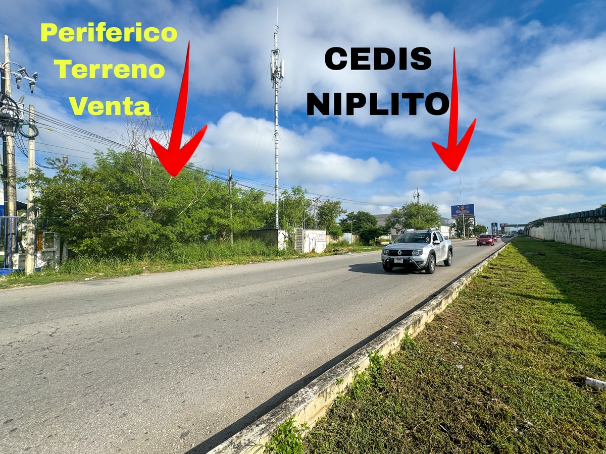 1 de 10