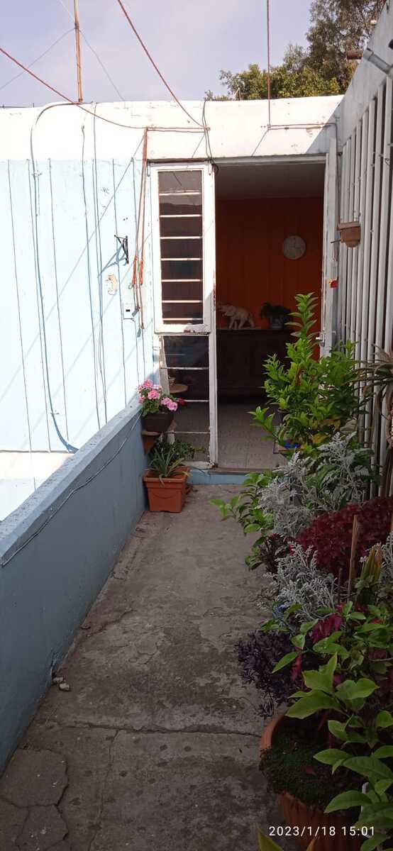 2 de 16